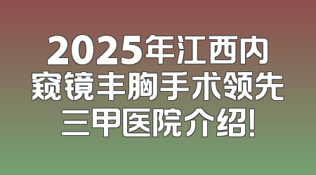 2025年江西内窥镜丰胸手术领先三甲医院介绍！