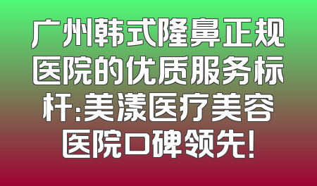 广州韩式隆鼻正规医院的优质服务标杆：美漾医疗美容医院口碑领先！