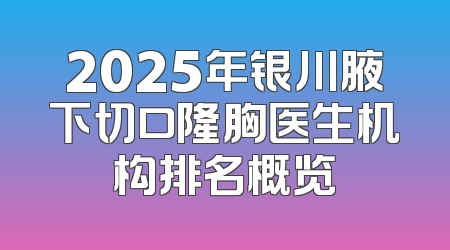 2025年银川腋下切口隆胸医生机构排名概览