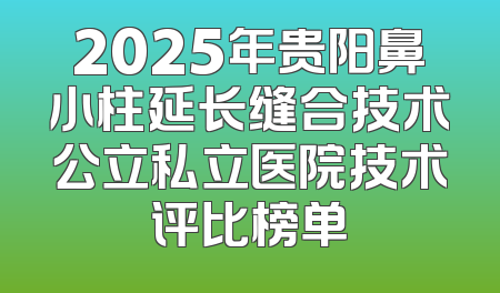 2025年贵阳鼻小柱延长缝合技术公立私立医院技术评比榜单