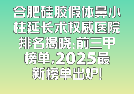 合肥硅胶假体鼻小柱延长术权威医院排名揭晓：前三甲榜单，2025最新榜单出炉！