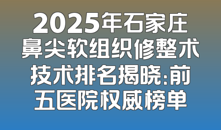 2025年石家庄鼻尖软组织修整术技术排名揭晓：前五医院权威榜单