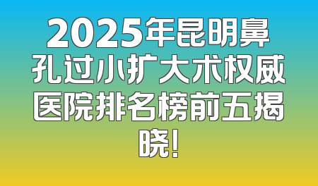 2025年昆明鼻孔过小扩大术权威医院排名榜前五揭晓！