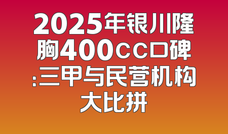 2025年银川隆胸400cc口碑：三甲与民营机构大比拼