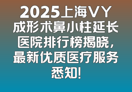 2025上海VY成形术鼻小柱延长医院排行榜揭晓，最新优质医疗服务悉知！