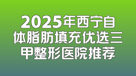 2025年西宁自体脂肪填充优选三甲整形医院推荐