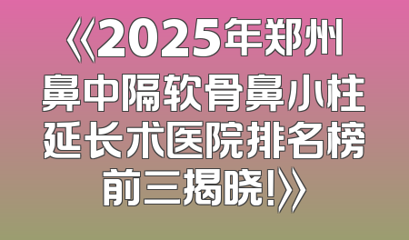 《2025年郑州鼻中隔软骨鼻小柱延长术医院排名榜前三揭晓！》