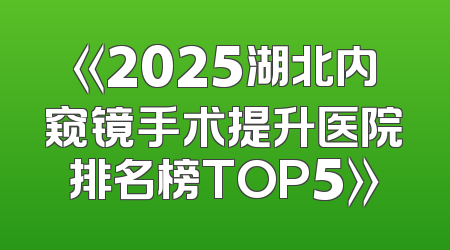 《2025湖北内窥镜手术提升医院排名榜TOP5》