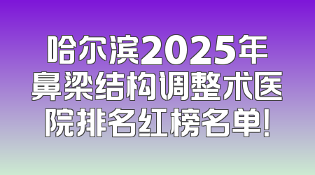哈尔滨2025年鼻梁结构调整术医院排名红榜名单！