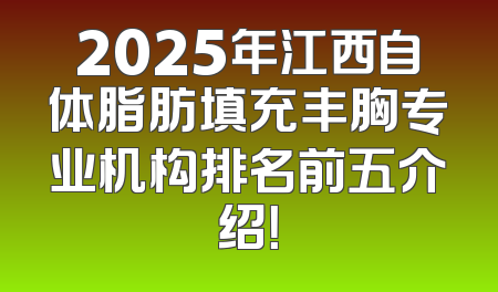 2025年江西自体脂肪填充丰胸专业机构排名前五介绍！