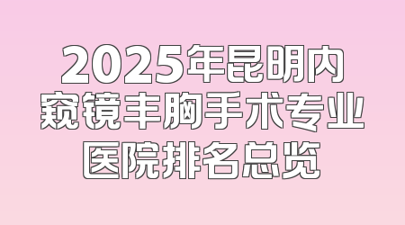 2025年昆明内窥镜丰胸手术专业医院排名总览