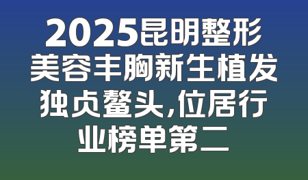 2025昆明整形美容丰胸新生植发独占鳌头，位居行业榜单第二