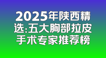 2025年陕西精选：五大胸部拉皮手术专家推荐榜