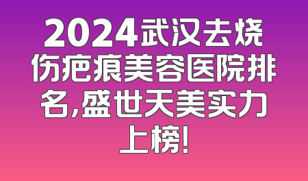 2024武汉去烧伤疤痕美容医院排名，盛世天美实力上榜！