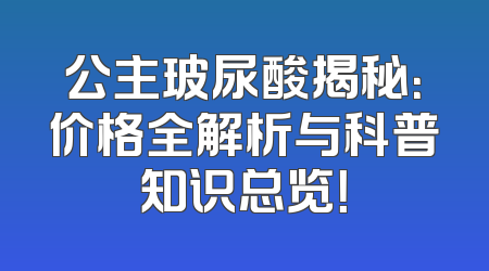 公主玻尿酸揭秘：价格全解析与科普知识总览！