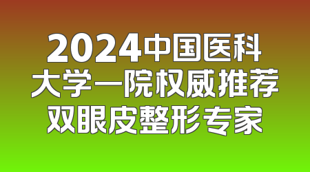 2024中国医科大学一院权威推荐双眼皮整形专家