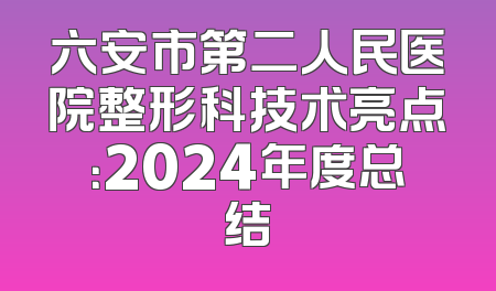 六安市第二人民医院整形科技术亮点：2024年度总结