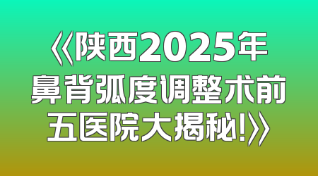 《陕西2025年鼻背弧度调整术前五医院大揭秘！》