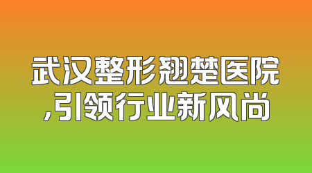 武汉整形翘楚医院，引领行业新风尚