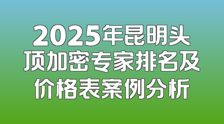 2025年昆明头顶加密专家排名及价格表案例分析