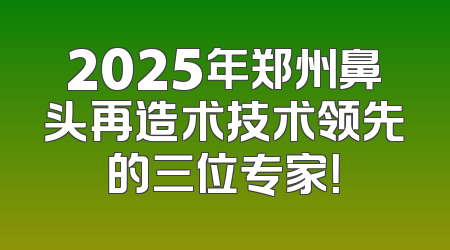 2025年郑州鼻头再造术技术领先的三位专家！