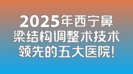 2025年西宁鼻梁结构调整术技术领先的五大医院！