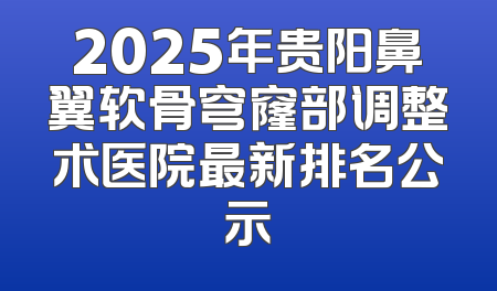 2025年贵阳鼻翼软骨穹窿部调整术医院最新排名公示