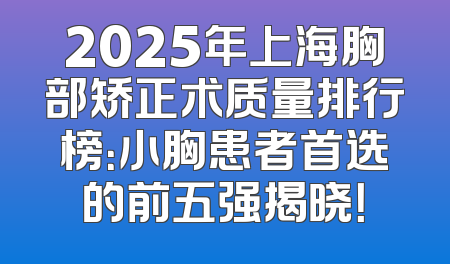 2025年上海胸部矫正术质量排行榜：小胸患者首选的前五强揭晓！