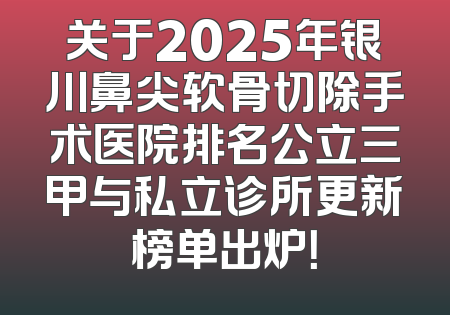 关于2025年银川鼻尖软骨切除手术医院排名公立三甲与私立诊所更新榜单出炉！