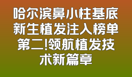 哈尔滨鼻小柱基底新生植发注入榜单第二！领航植发技术新篇章