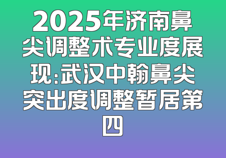 2025年济南鼻尖调整术专业度展现：武汉中翰鼻尖突出度调整暂居第四