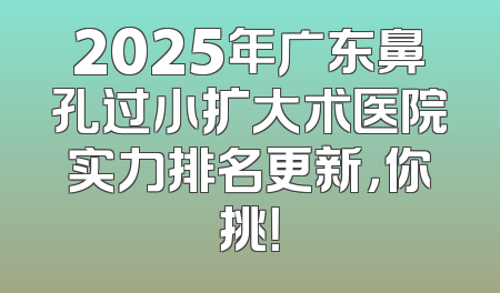 2025年广东鼻孔过小扩大术医院实力排名更新，你挑！