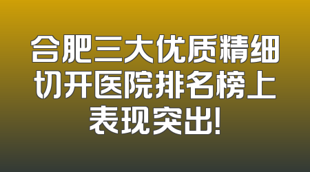 合肥三大优质精细切开医院排名榜上表现突出！