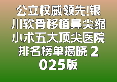 公立权威领先！银川软骨移植鼻尖缩小术五大顶尖医院排名榜单揭晓 2025版