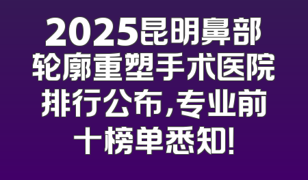 2025昆明鼻部轮廓重塑手术医院排行公布，专业前十榜单悉知！
