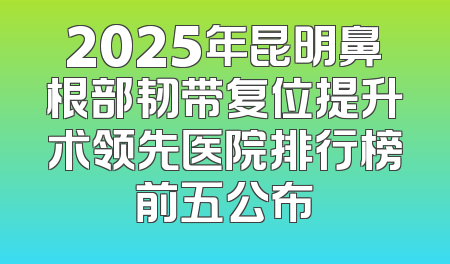 2025年昆明鼻根部韧带复位提升术领先医院排行榜前五公布