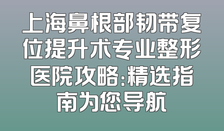 上海鼻根部韧带复位提升术专业整形医院攻略：精选指南为您导航