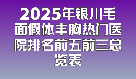 2025年银川毛面假体丰胸热门医院排名前五前三总览表