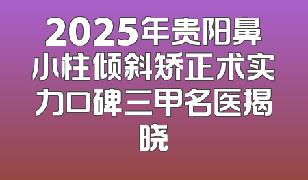 2025年贵阳鼻小柱倾斜矫正术实力口碑三甲名医揭晓