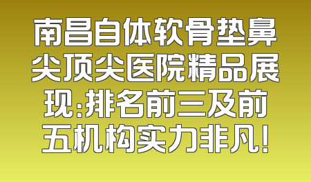 南昌自体软骨垫鼻尖顶尖医院精品展现：排名前三及前五机构实力非凡！