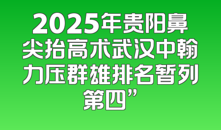 2025年贵阳鼻尖抬高术武汉中翰力压群雄排名暂列第四”