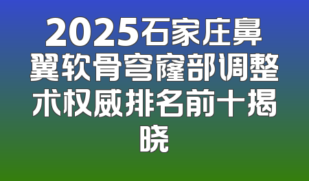 2025石家庄鼻翼软骨穹窿部调整术权威排名前十揭晓