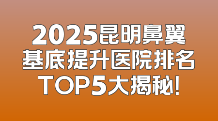2025昆明鼻翼基底提升医院排名TOP5大揭秘！