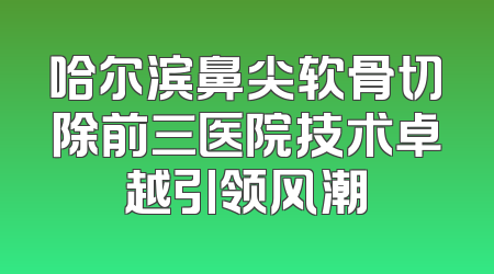 哈尔滨鼻尖软骨切除前三医院技术卓越引领风潮