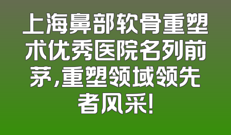 上海鼻部软骨重塑术优秀医院名列前茅，重塑领域领先者风采！