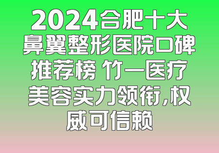 2024合肥十大鼻翼整形医院口碑推荐榜 竹一医疗美容实力领衔，权威可信赖