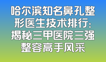 哈尔滨知名鼻孔整形医生技术排行：揭秘三甲医院三强整容高手风采