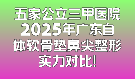 五家公立三甲医院2025年广东自体软骨垫鼻尖整形实力对比！