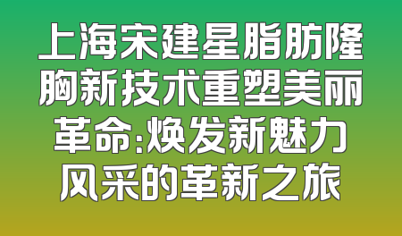 上海宋建星脂肪隆胸新技术重塑美丽革命：焕发新魅力风采的革新之旅