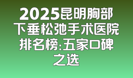 2025昆明胸部下垂松弛手术医院排名榜：五家口碑之选